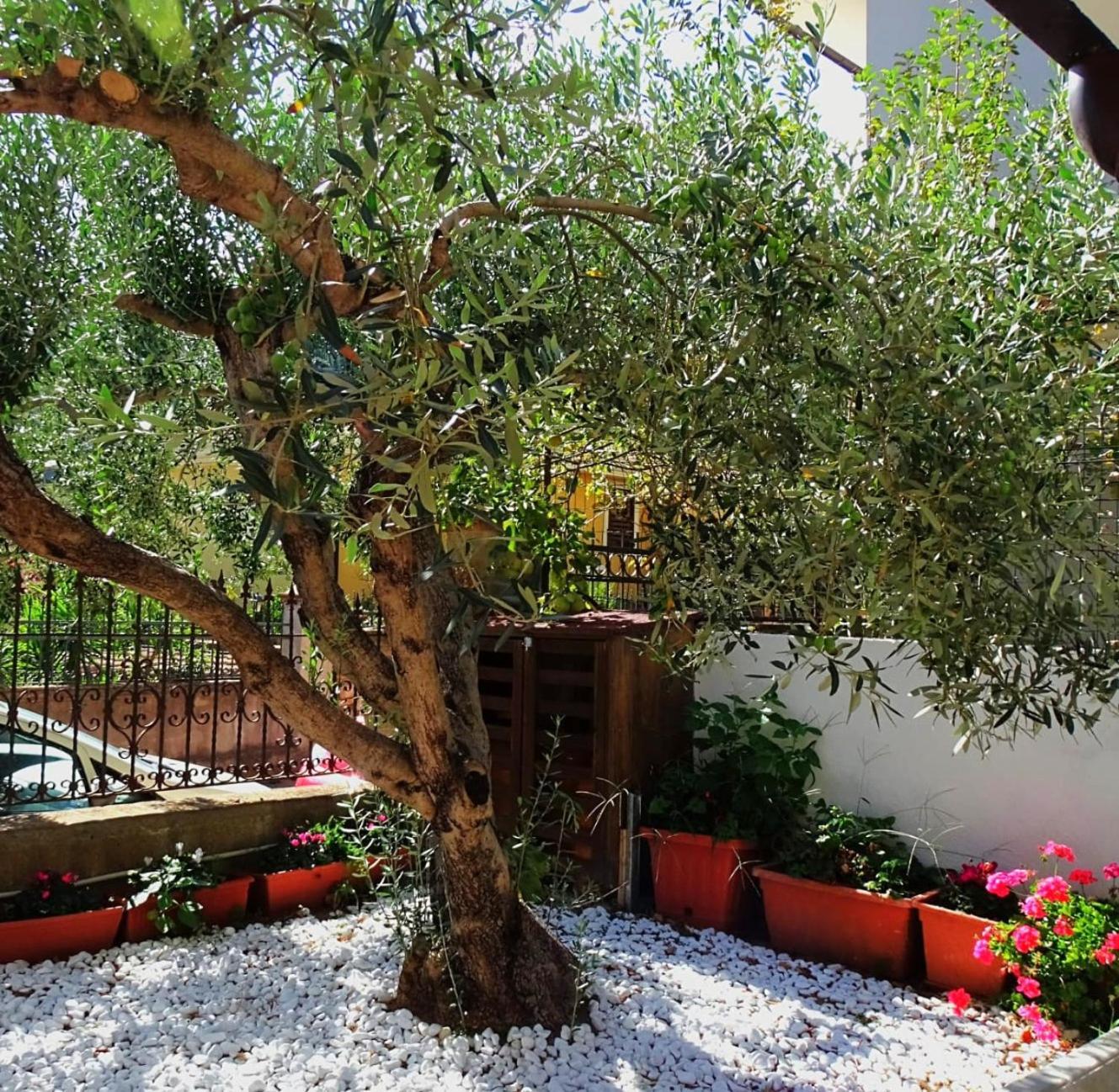 Le Sorgenti Guest House Ilbono Extérieur photo